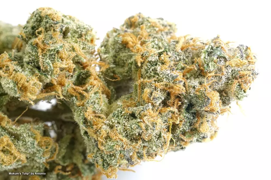 buy weed in Baku