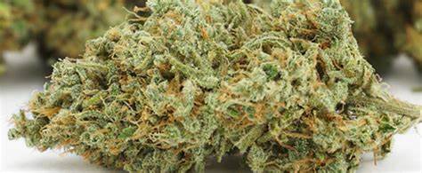 buy weed in Riyadh Saudi Arabia