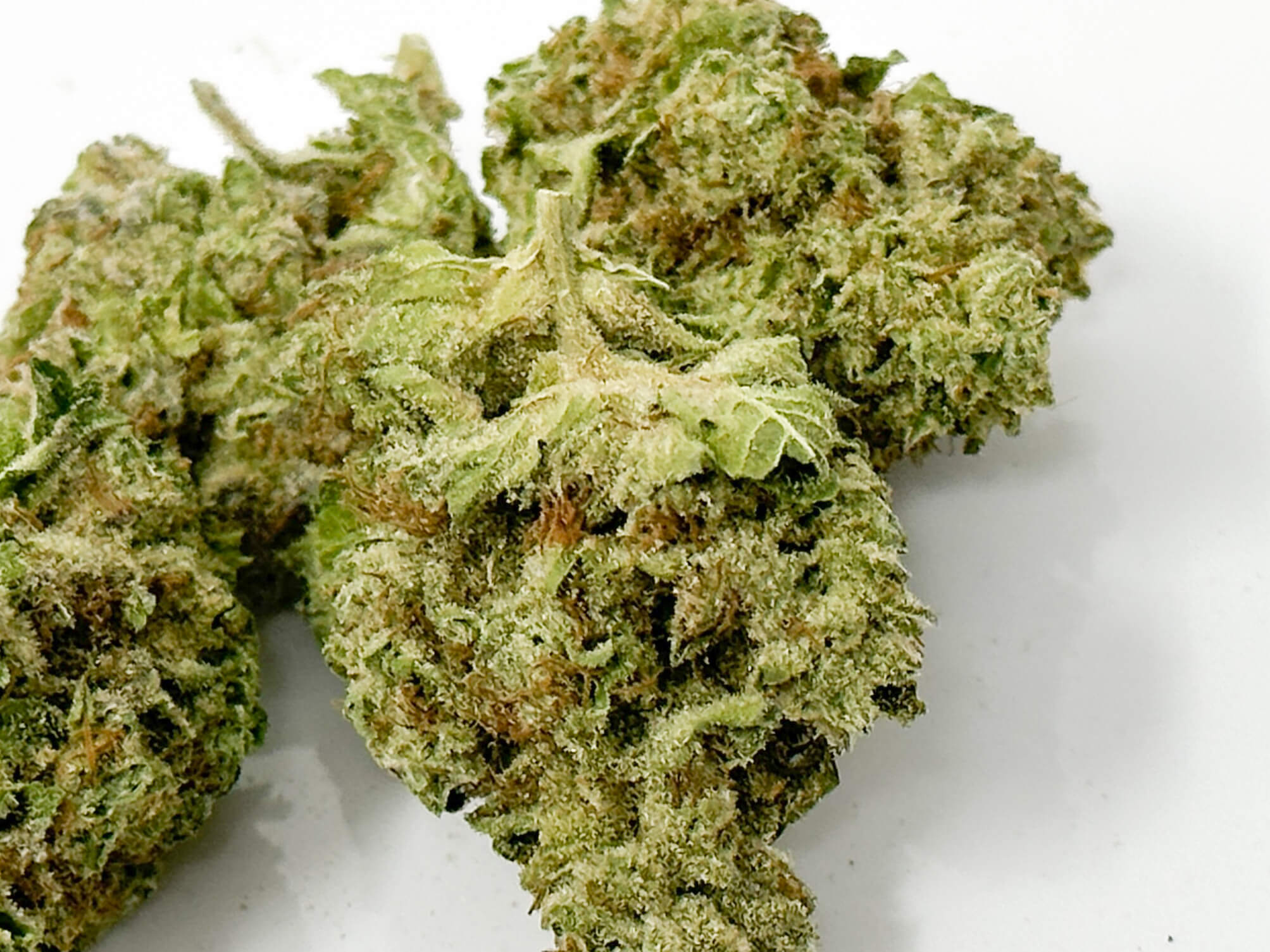 buy weed in Gdynia Poland