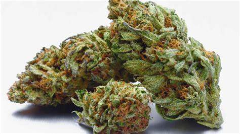 buy weed in Zielona Góra