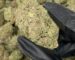buy weed in Lyon