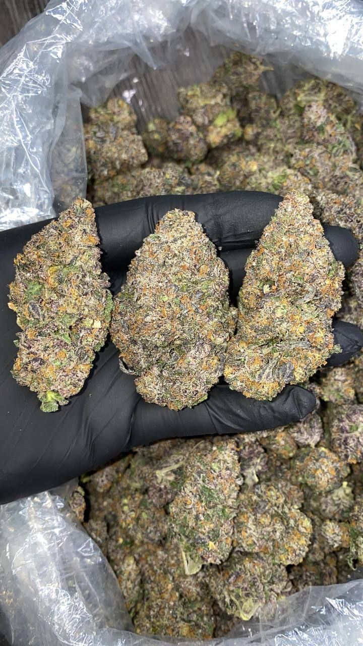 Where can i buy weed in Le Chambon-sur-Lignon